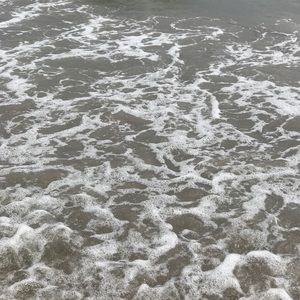 Meet your Posher, Husna